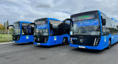 В Набережные Челны прибыла новая партия современных автобусов
