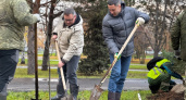 У сквера в Набережных Челнах высадили 100 деревьев