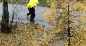 Последняя неделя ноября в Набережных Челнах будет дождливой