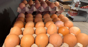 Обходят стороной: почему работники магазинов и птицефабрик не берут для себя яйца категории СО - даже со скидкой