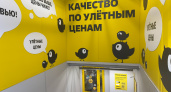Покупаю в «дешёвом» Чижике только эти пять продуктов - делюсь своим эконом-списком