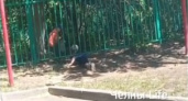 Без присмотра: в Челнах в садике дети гуляют за забором