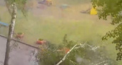 В Челнах в 30-м комплексе дерево упало на дорогу