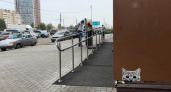 Ребус: в Челнах появились «какие-то непонятные кошки»