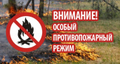 В Татарстане объявлен особый противопожарный режим