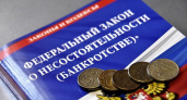 В Татарстане фирма незаконно вывела со счетов 14,5 млн и объявила себя банкротом