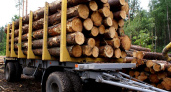 В Челнах бизнесмен перевозил древесину без оформления соответствующих документов