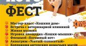 Нашествие пушистиков: в Челнах пройдет котофест
