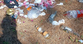 «Тропа пролегает через бутылки, пищевые отходы, собачий кал, использованную туалетную бумагу»