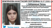 В Челнах две недели разыскивают пропавшую 17-летнюю девушку 