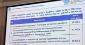 «Народный контроль» и центры развития: на что пойдут допдоходы Челнов