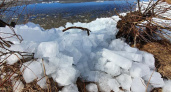 Челнинцев призывают не выходит на лед: на Каме появились проталины