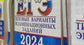В Челнах ЕГЭ на 100 баллов написали 28 выпускников