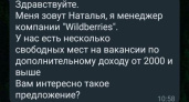 Житель Челнов лишился сбережений в поисках заработка в интернете