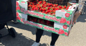 В Челнах бесплатно раздают ящиками клубнику – собралась огромная очередь (фото)