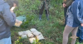 В Татарстане задержали курьера с 20 кг наркотиков