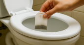 Уходя из дома, бросаю чайный пакетик в унитаз — простой трюк, который подсказала горничная