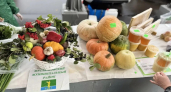 На ярмарки в Набережных Челнах привезли продукцию из 14 районов Татарстана