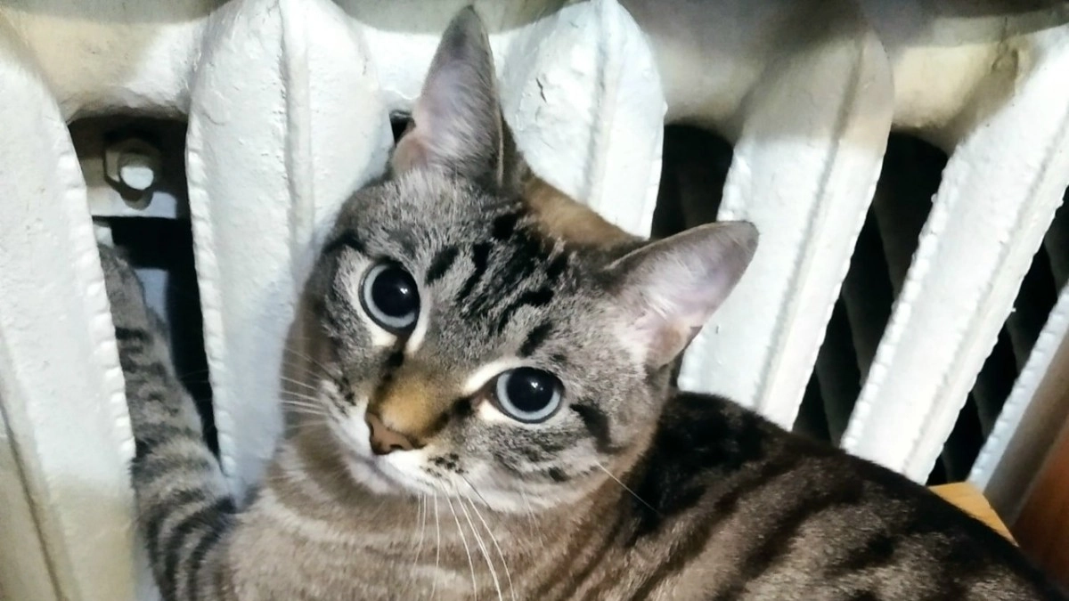 В Набережных Челнах отопительный сезон завершится 4 мая