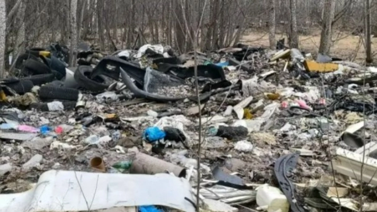 В Челнах экологи нашли две свалки общей площадью почти 950 квадратов